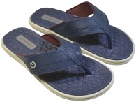 Chinelo Cartago Veneto III - Cinza/Azul/Bordo