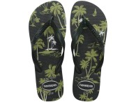 Chinelo Havaianas Aloha - Verde Olive